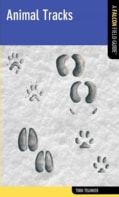 A Falcon Field Guide Animal Tracks (Paperback)