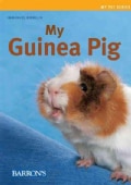 My Guinea Pig (Paperback)