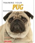 Training Your Pug (Paperback)