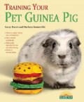 Training Your Pet Guinea Pig (Paperback)
