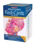 Barron's Anatomy Flash Cards (Cards)