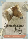 Chincoteague Pony Identification Cards (Cards)