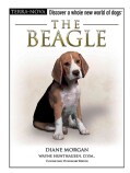 The Beagle