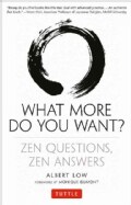 What More Do You Want?: Zen Questions, Zen Answers (Paperback)