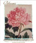 Blooms (Cards)