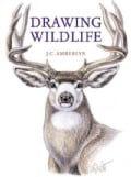 Drawing Wildlife (Paperback)