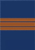 Holy Bible: Nueva Version International / New International Version, Azul/cafe, Cos Tonos Italiana, Biblia Bilingue (Hardcover)