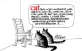 Cat (Paperback)
