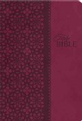 Holy Bible: King James Study Bible (Paperback)