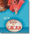 From Egg to Chicken (Paperback)