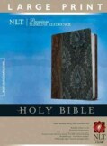 Holy Bible: New Living Translation, Dark Brown / Dusty Blue TuTone, LeatherLike, Premium Slimline Reference (Paperback)