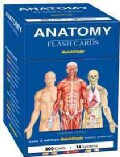 Anatomy (Cards)