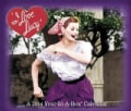 I Love Lucy 2014 Year-in-a-Box Calendar (Calendar)