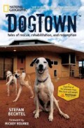 Dogtown: Tales of Rescue, Rehabilitation, and Redemption (Hardcover)