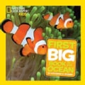 National Geographic Kids First Big Book of the Ocean (Hardcover)