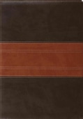 Holy Bible: English Standard Version, Trutone, forest/tan, Trail Design (Paperback)