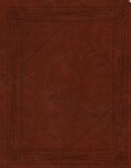 Holy Bible: English Standard Version, Brown, Trutone, Window Design, Single Column Journaling Bible (Paperback)