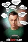 Big Bang Theory: Quotes (Poster)