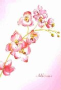 Orchid Address Book (Address book)