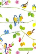 Watercolor Birds Address Book (Hardcover)