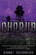 Maximum Security (Paperback)