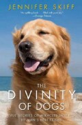 The Divinity of Dogs: True Stories of Miracles Inspired by Man's Best Friend (Paperback)