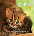 Zooborns Cats: The Newest, Cutest Kittens and Cubs from the World's Zoos (Hardcover)