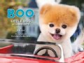 Boo: Little Dog in the Big City (Hardcover)