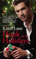 Hunk for the Holidays (Paperback)