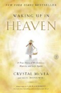 Waking Up in Heaven: A True Story of Brokenness, Heaven, and Life Again (Paperback)