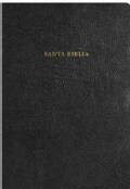 Biblia De Estudio Arco Iris/Rainbow Study Bible (Paperback)