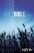 Holy Bible: New International Version (Paperback)