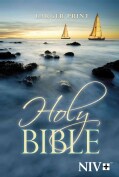 Holy Bible: New International Version (Paperback)