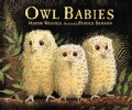 Owl Babies (Board book)