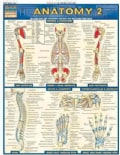Anatomy 2 (Cards)