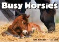 Busy Horsies (Board book)