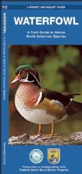 Waterfowl: A Field Guide to Native North American Species (Wallchart)