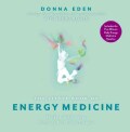 The Little Book of Energy Medicine: The Essential Guide to Balancing Your Body's Energies (Paperback)
