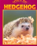 Caring For Your Hedgehog (Paperback)