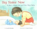 Big Sister Now: A Story About Me And Our New Baby (Paperback)