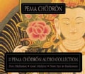 The Pema Chodron Collection: Pure Meditation:Good Medicine:From Fear to Fearlessness (CD-Audio)