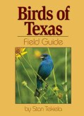 Birds Of Texas Field Guide (Paperback)