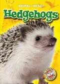 Hedgehogs (Hardcover)