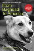From Baghdad to America: Life After War For A Marine and His Rescued Dog (Paperback)