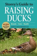 Storey's Guide to Raising Ducks: Breeds, Care, Health (Paperback)