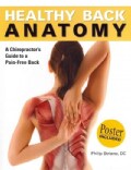 Healthy Back Anatomy: A Chiropractor's Guide to a Pain-free Back