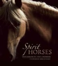 Spirit Horses (Paperback)