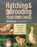 Hatching & Brooding Your Own Chicks: Chickens, Turkeys, Ducks, Geese, Guinea Fowl (Paperback)