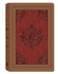 The KJV Study Bible: King James Version, Dicarta Antique, Red Letter Edition (Paperback)