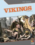 Vikings (Hardcover)